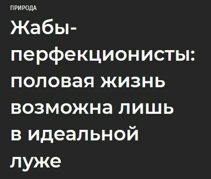 ПРИРОДА Жабы- перфекционисты: половая жизнь возможна лишь в идеальной луже