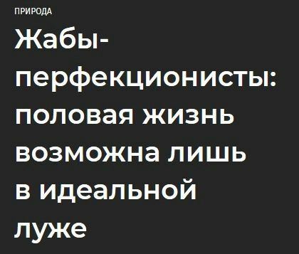 ПРИРОДА Жабы- перфекционисты: половая жизнь возможна лишь в идеальной луже