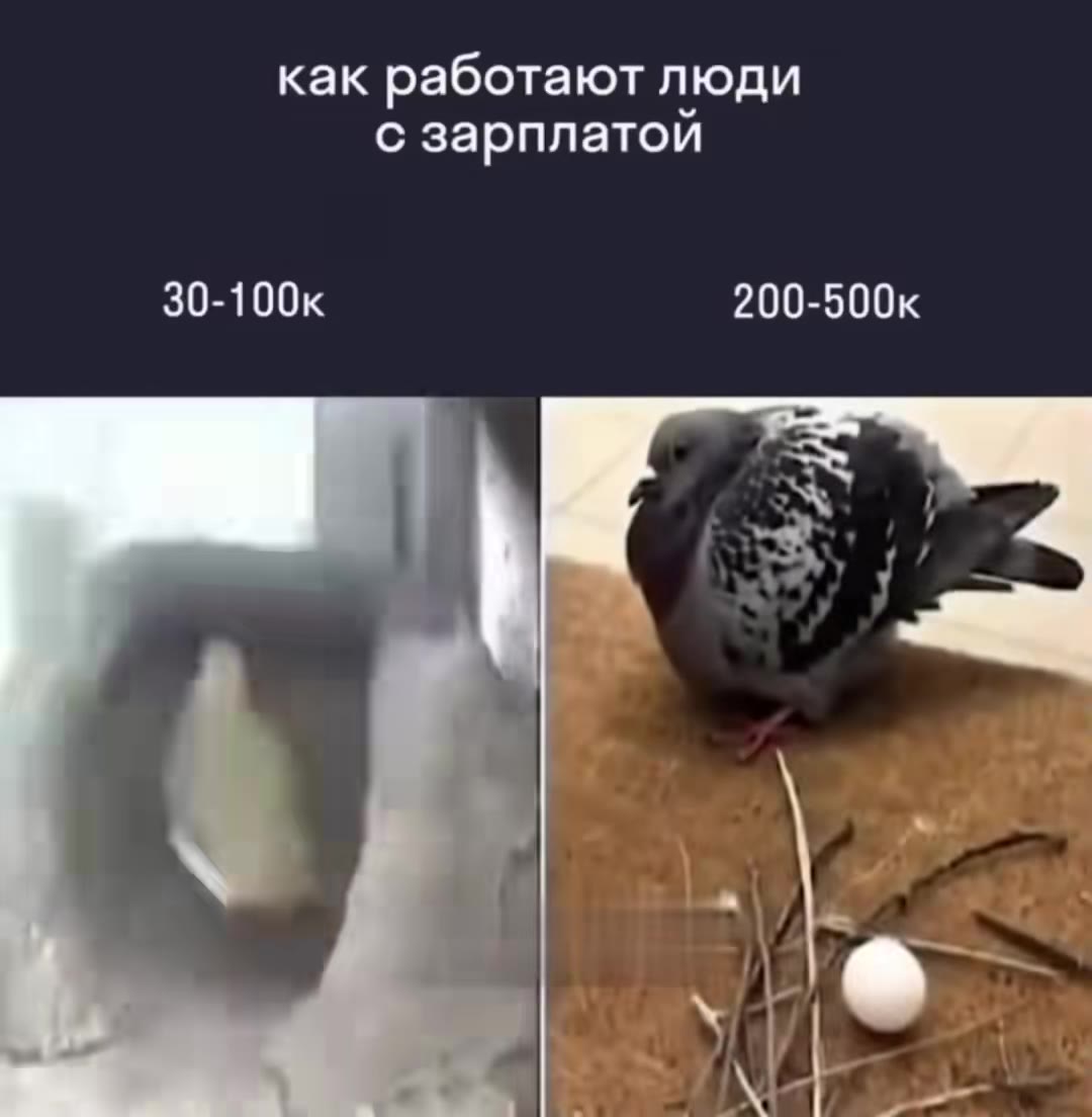 как работают люди с зарплатой