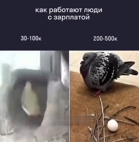 как работают люди с зарплатой