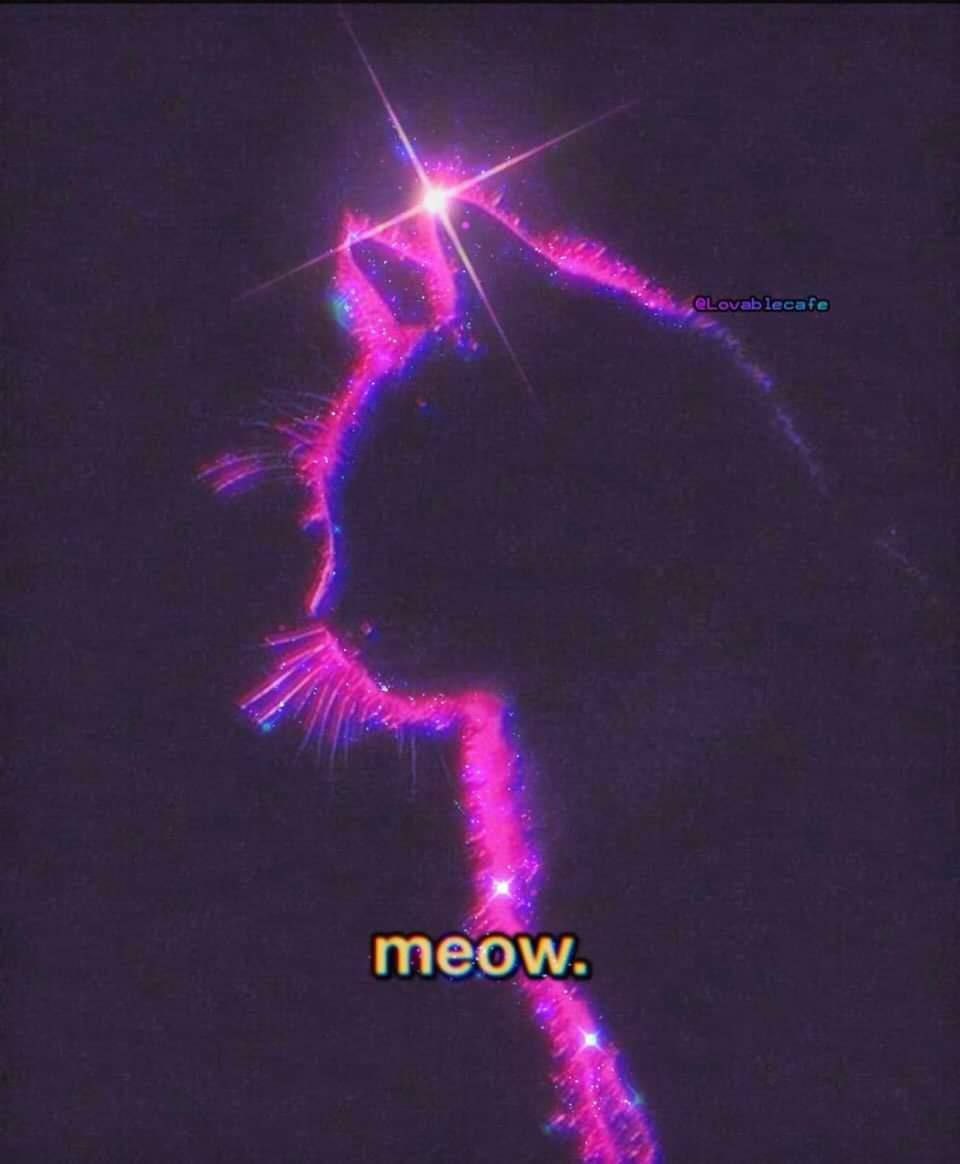 meow.