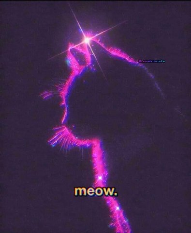 meow.