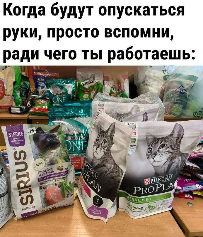 Когда будут опускаться руки, просто вспомни, ради чего ты работаешь On STERILE PROP