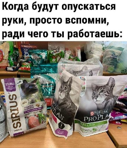 Когда будут опускаться руки, просто вспомни, ради чего ты работаешь On STERILE PROP