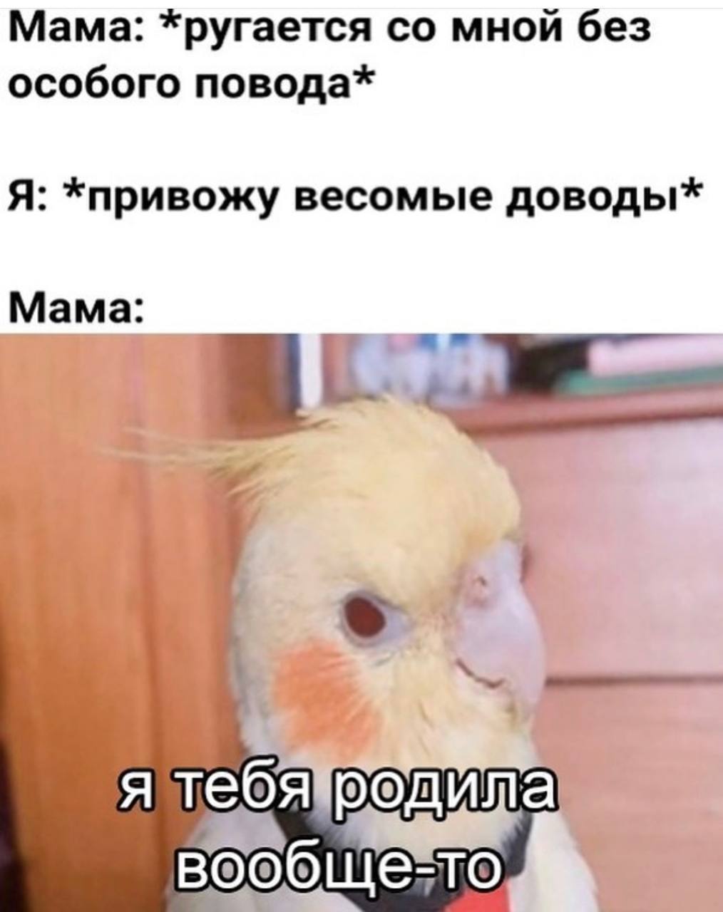 Мама: *ругается мной без особого повода* Я: *привожу весомые доводы* Мама: я вообще-то