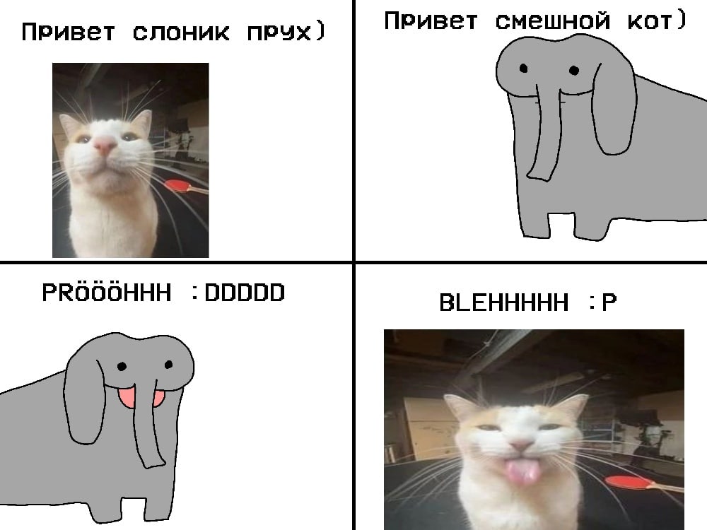 слоник Привет смешной кот) PROOOHHH :00000 ВЕЕННННН