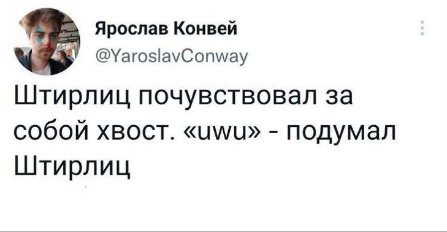 Ярослав Конвей @YaroslavConway Штирлиц почувствовал за собой хвост. подумал Штирлиц