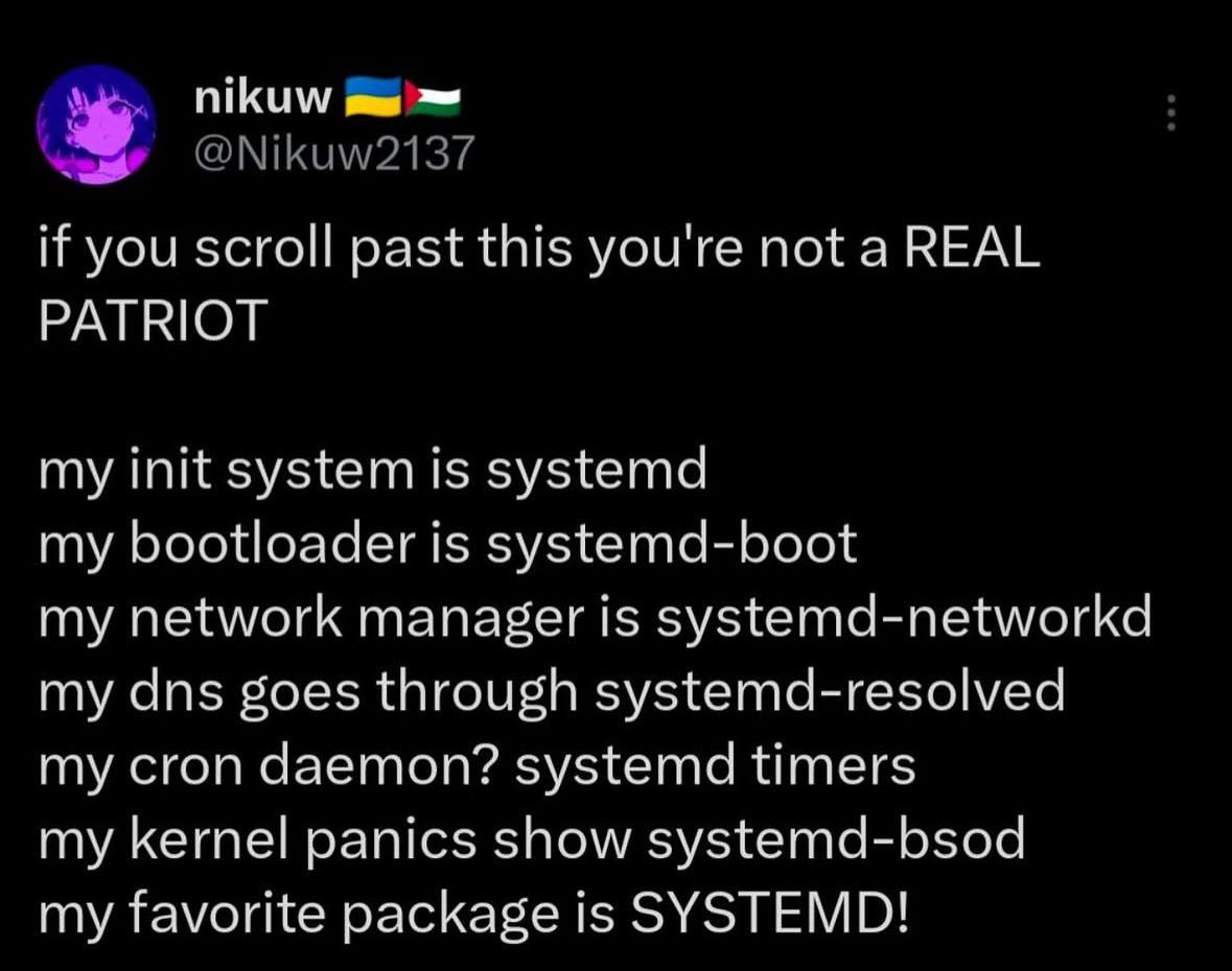 nikuw if you scroll past this you're not a REAL PATRIOT my init system is systemd my bootloader is systemd-boot my network manager is systemd-networkd my dns goes through systemd-resolved my cron daem
