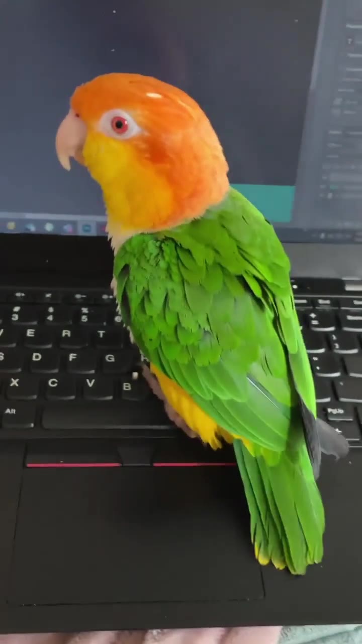 a