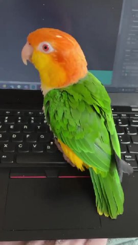 a