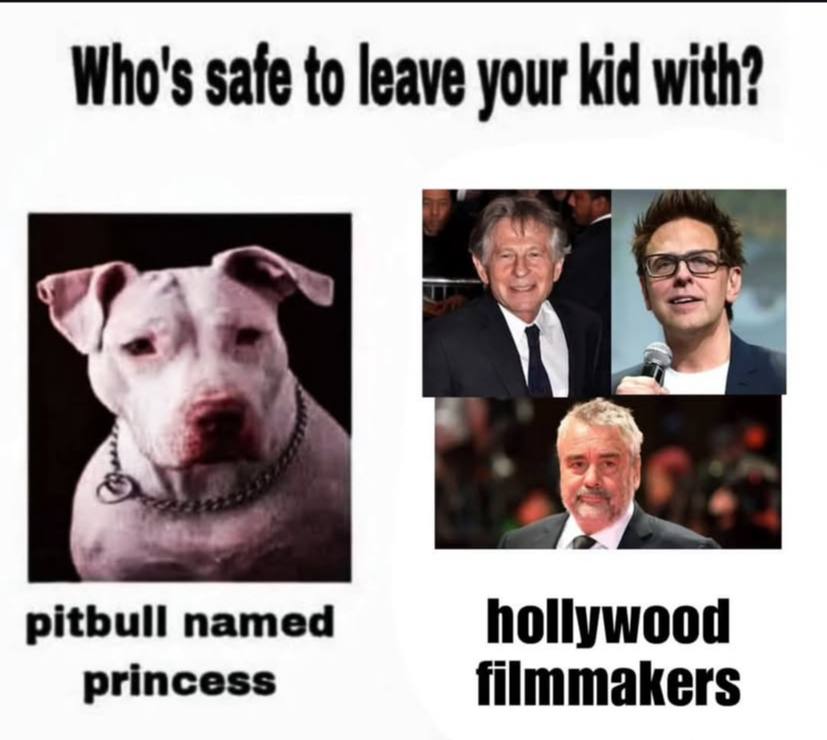 Who's safe to leave your kid with? pitbull named hollywood princess filmmakers