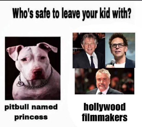 Who's safe to leave your kid with? pitbull named hollywood princess filmmakers