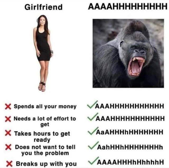 Girlfriend ААААННННННННН Spends all your money Needs a lot of effort to \/AAAHHHHHHHHHHH get Takes hours to get ready Does not want to tell you the problem Breaks up with you