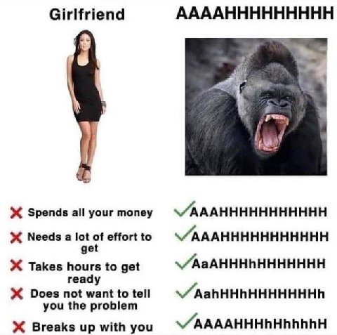 Girlfriend ААААННННННННН Spends all your money Needs a lot of effort to \/AAAHHHHHHHHHHH get Takes hours to get ready Does not want to tell you the problem Breaks up with you