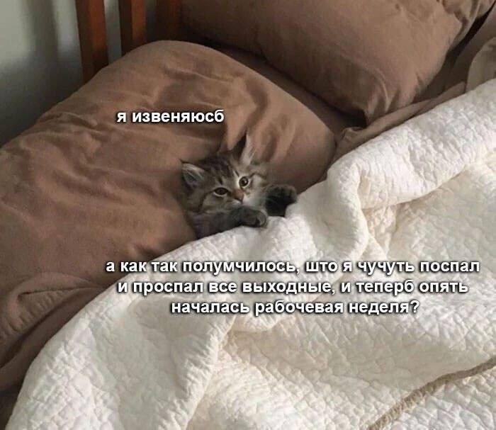 я извеняюсб а как. так Што, я поспал роспал все и, началась неделя? #4 2% a as