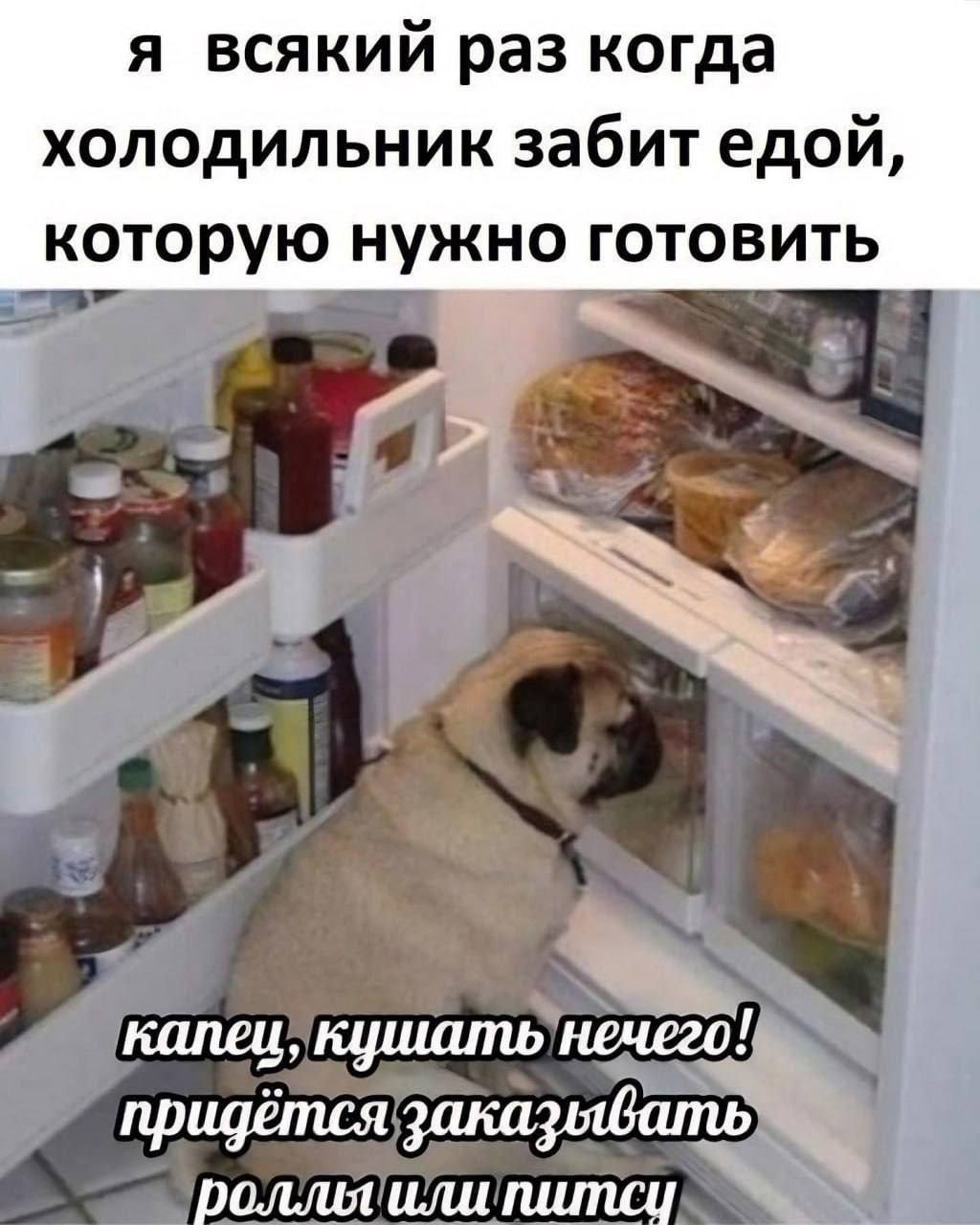 я всякий раз когда холодильник забит едой, которую нужно готовить капец, кушать нечего! придётся заказявать роллы или питси