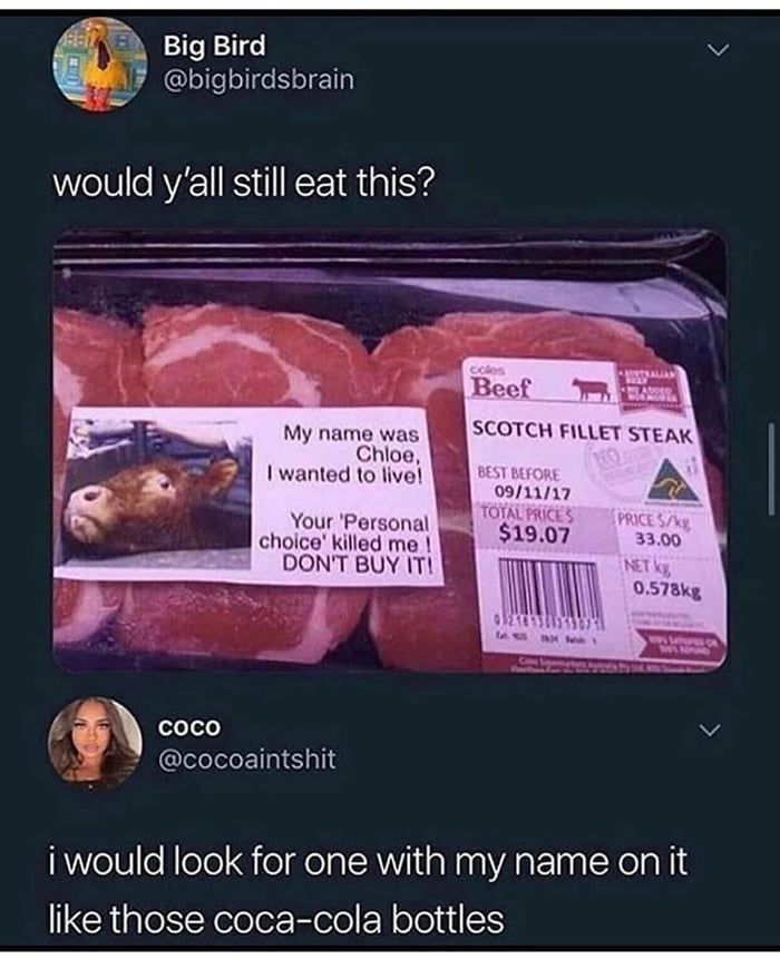 Big Bird my @bigbirdsbrain would still eat this? Beef name was SCOTCH FILLET STEAK Мое, i wanted to livel А DON'T BUY IT! coco @cocoaintshit i would look for one with my name on it like those coca-col