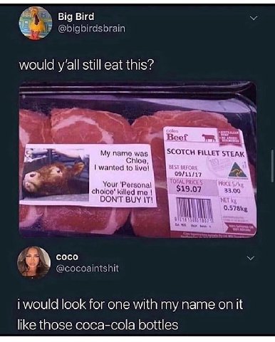 Big Bird my @bigbirdsbrain would still eat this? Beef name was SCOTCH FILLET STEAK Мое, i wanted to livel А DON'T BUY IT! coco @cocoaintshit i would look for one with my name on it like those coca-col