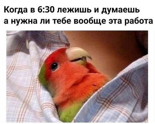 Когда в 6:30 лежишь и думаешь а нужна ли тебе вообще эта работа