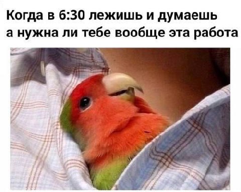 Когда в 6:30 лежишь и думаешь а нужна ли тебе вообще эта работа
