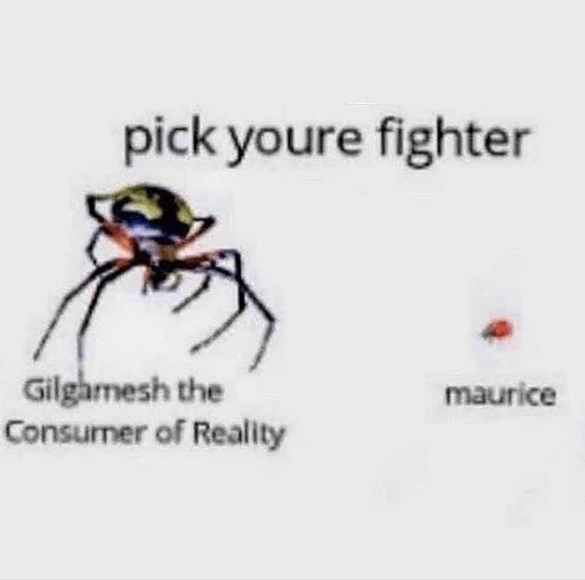 pick youre fighter the of Reality