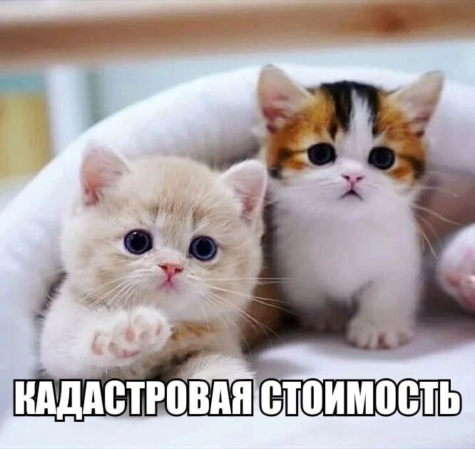 КАДАСТРОВАЯ СТОИМОСТЬ