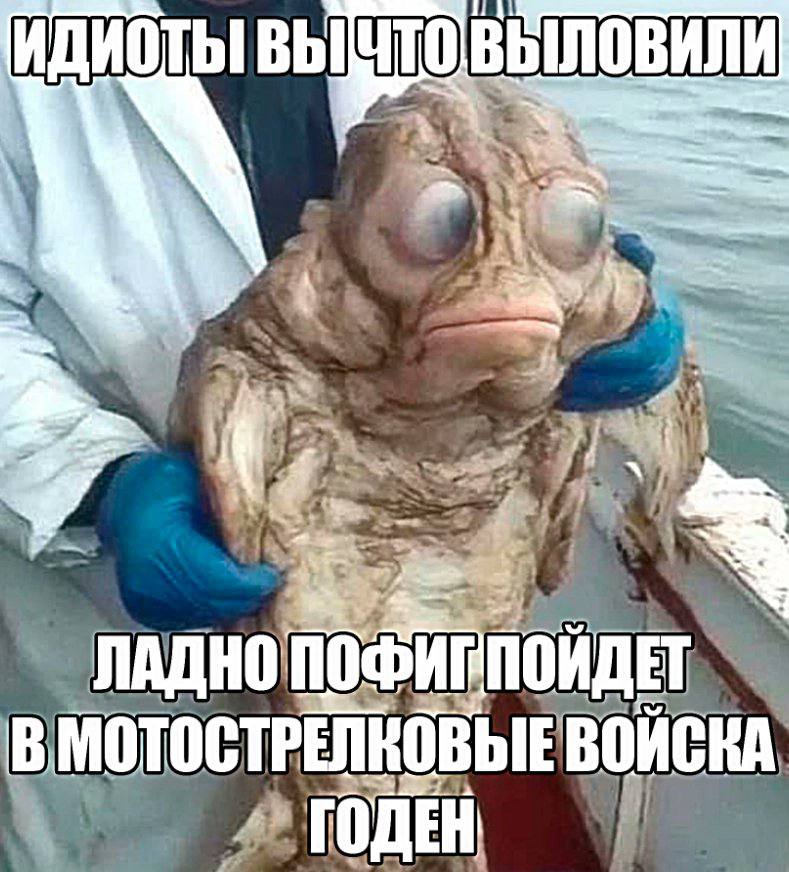 ВЫЛОВИЛИ А 7 4 AN ВОЙСКА