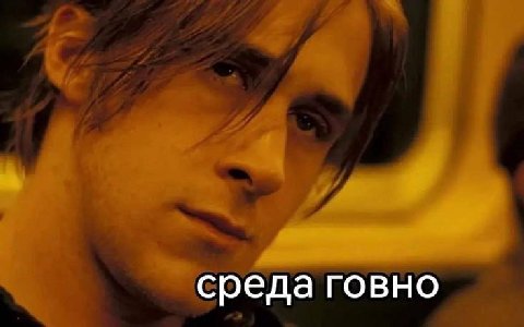 среда говно сред