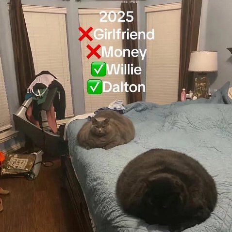 riend пеу Willie Dalton