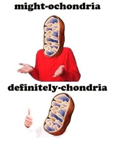 might-ochondria definitely-chondria