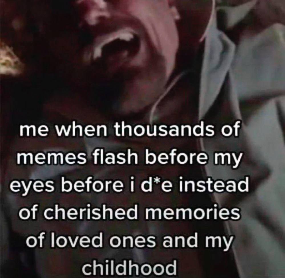 when thousands of memes flash before my eyes before instead of cherished memories of loved ones and my childhood