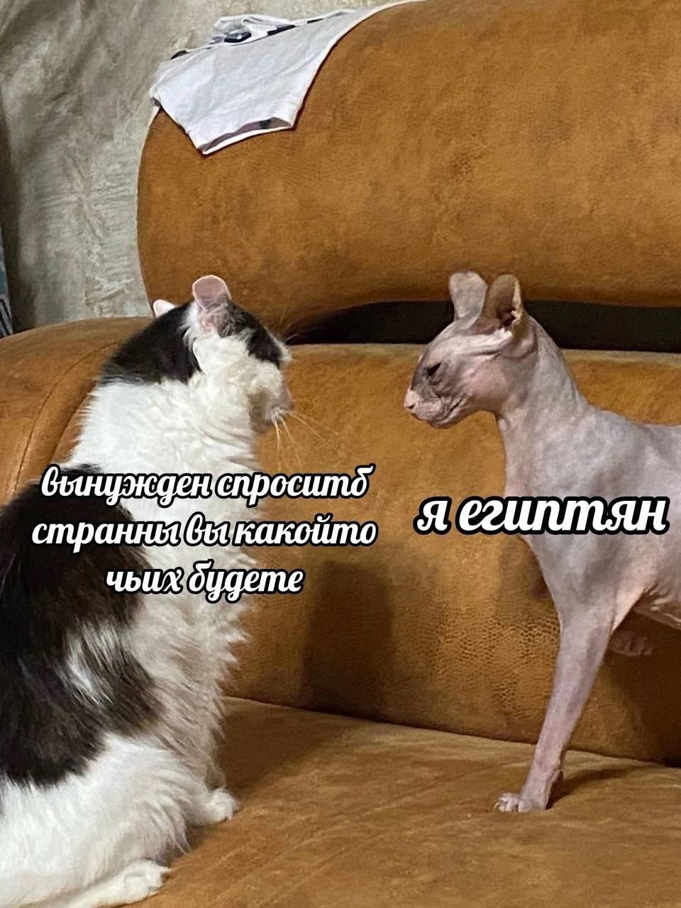 Я чьих будете