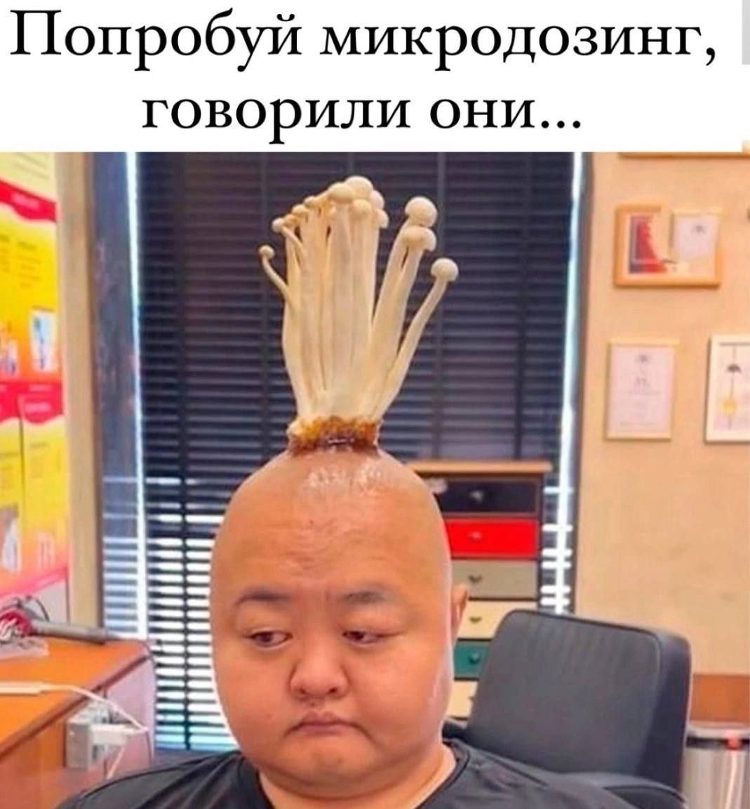 Попробуй микродозинг, говорили они... ЕЕ