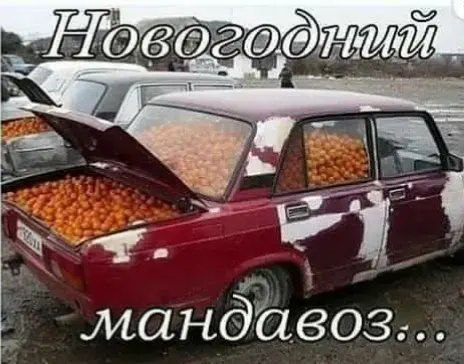 мандавоз.