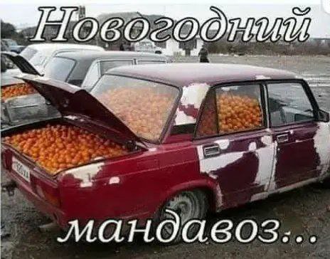 мандавоз.