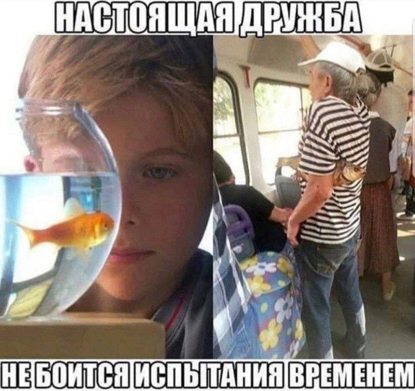 4 у НЕБОИТСЯ ИСПЫТАНИЯ ВРЕМЕНЕМ