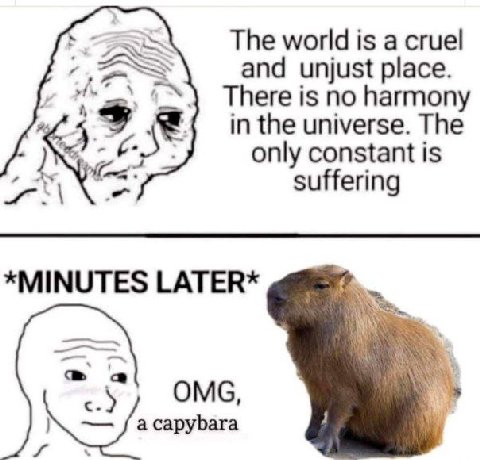 The world is а cruel and unjust place. There is no harmony in the universe. The only constant is suffering *MINUTES LATER* С OMG a capybara AS