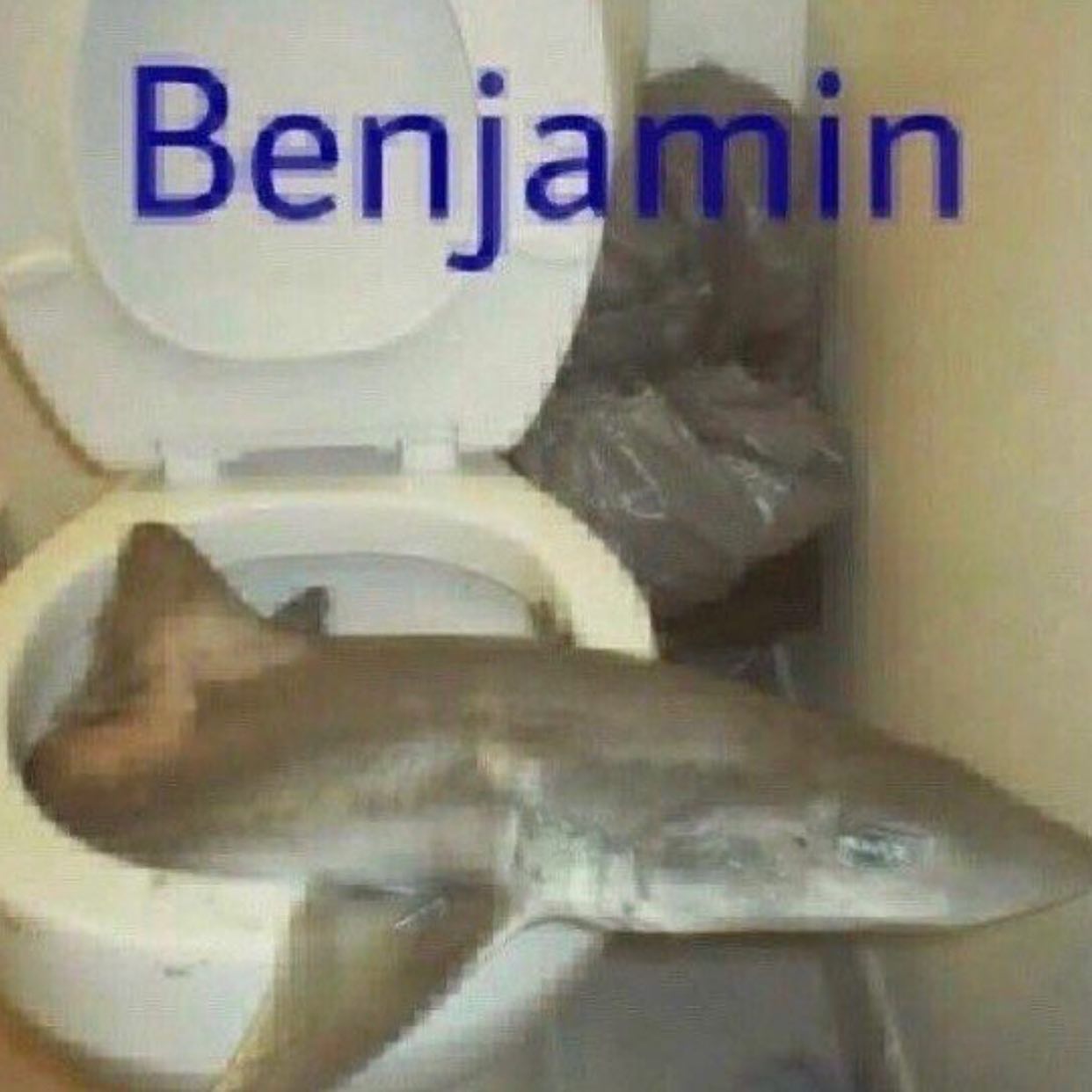 Веп]