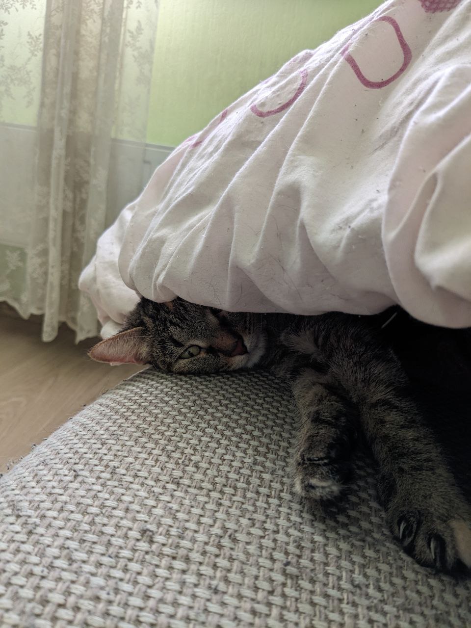 муд