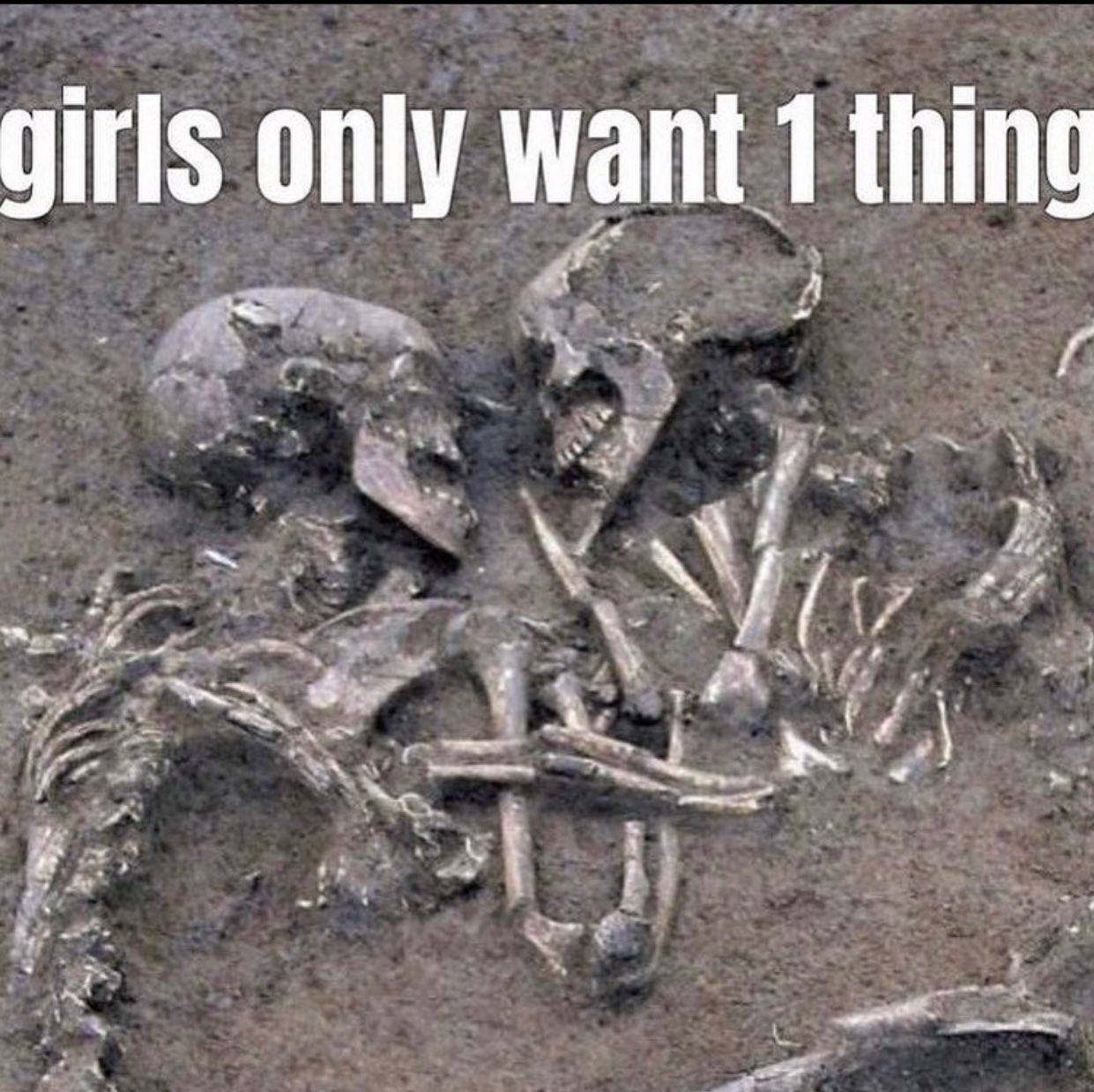 girls only want 1 thing a