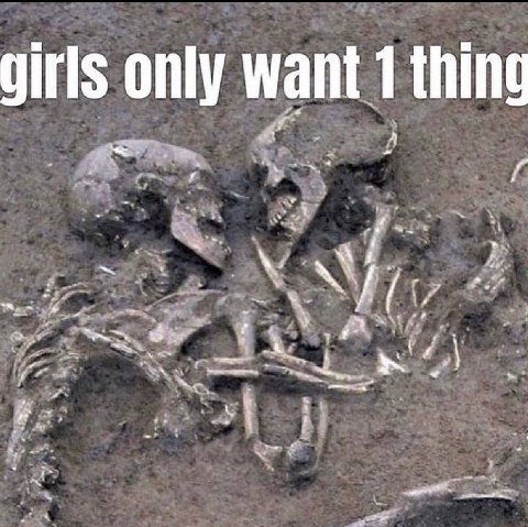 girls only want 1 thing a