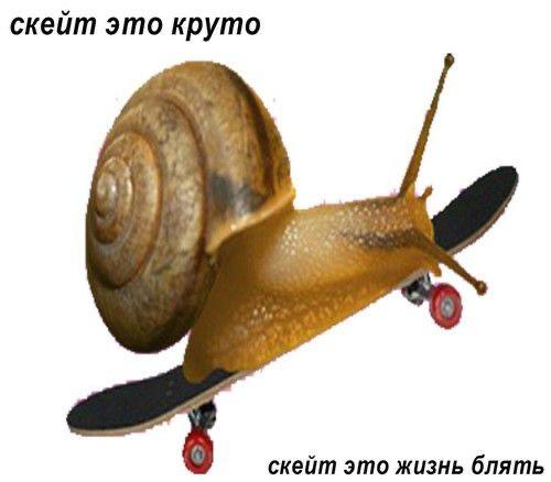 скейт это круто скейт это жизнь блять