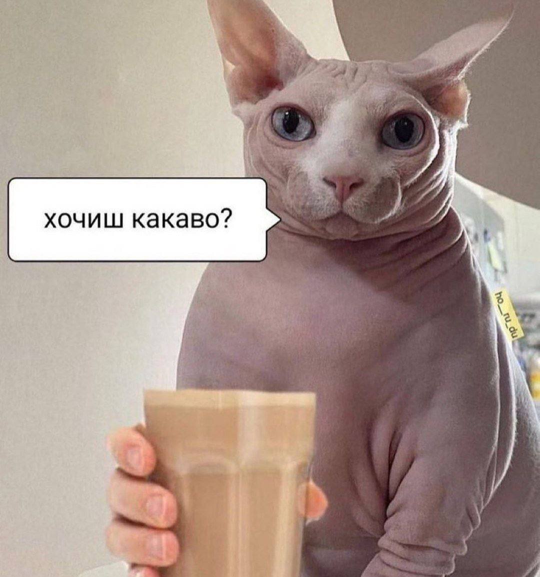 хочиш какаво?