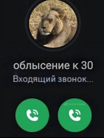 облысение к 30 Входящий звонок...