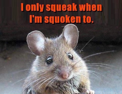 lonly squeak when squoken 2%