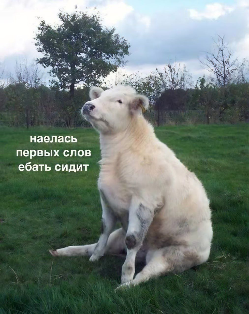 наелась первых слов ебать сидит