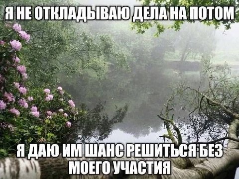 Я НЕ OTK Ады ЫВАЮ потом: и 1 72 Я ДАЮ ШАНС BES" МОЕГО УЧАСТИЯ