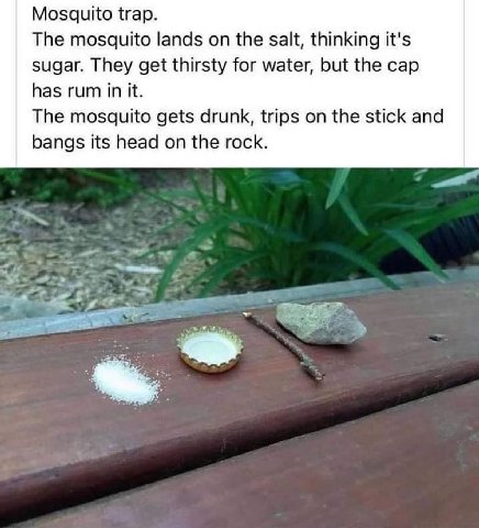 Mosquito trap. The mosquito lands on the salt, thinking it's sugar. They get thirsty for water, but the cap has rum in it. The mosquito gets drunk, trips on the stick and bangs its head on the rock. a