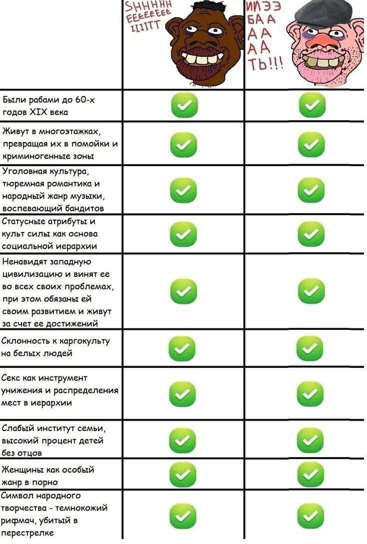АНА cee BAA 2 Были рабами до годов XIX века Живут в многоэтажках, превращая в помойки и криминогенные зоны Уголовная культура, тюремная романтика и народный жанр музыки, воспевающий бандитов Статусные