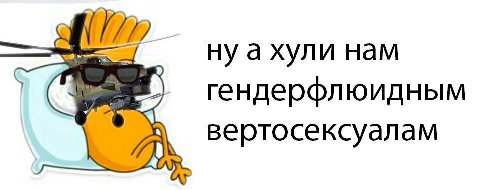 ну ахули нам гендерфлюидным вертосексуалам a